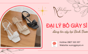 Gợi ý đại lý bỏ giày sỉ giá rẻ đáng tin cậy ở Bình Dương